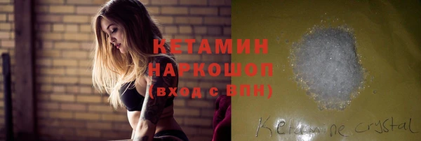 твердый Грязовец