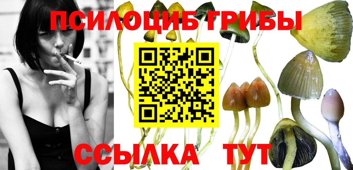 Псилоцибиновые грибы мицелий Ипатово
