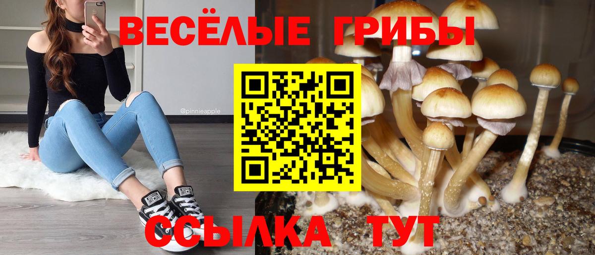 Ипатово  Псилоцибиновые грибы MAGIC MUSHROOMS  Вход с VPN 